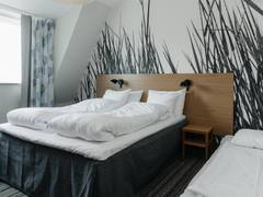 Zimmerbild 10
