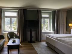 Zimmerbild 13