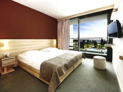 Zimmerbild 10