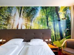 Zimmerbild 9