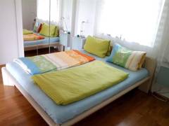 Zimmerbild 6
