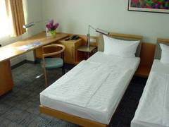 Zimmerbild 11