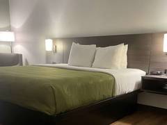 Zimmerbild 4