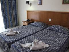 Zimmerbild 6