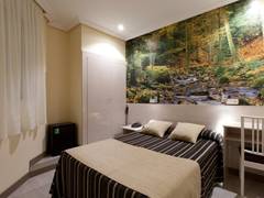 Zimmerbild 11