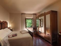 Zimmerbild 6
