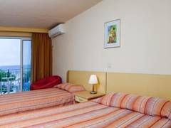 Zimmerbild 6