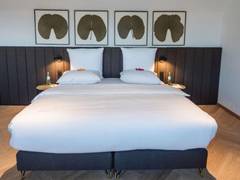 Zimmerbild 8