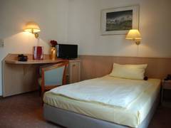 Zimmerbild 9