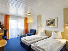 Zimmerbild 8