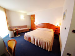 Zimmerbild 1