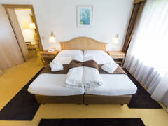 Zimmerbild 11