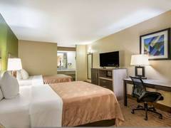 Zimmerbild 5