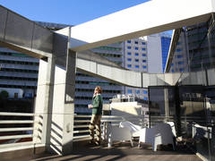 Zimmerbild 27