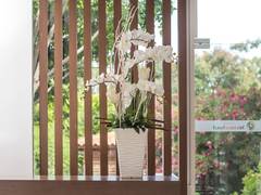 Zimmerbild 18