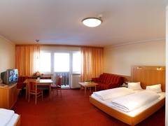 Zimmerbild 8