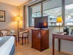 Zimmerbild 11