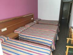 Zimmerbild 5