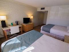 Zimmerbild 3