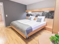 Zimmerbild 8