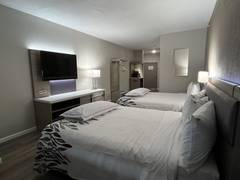 Zimmerbild 4