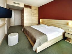 Zimmerbild 8