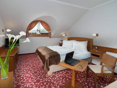 Zimmerbild 10