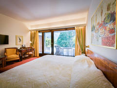 Zimmerbild 8