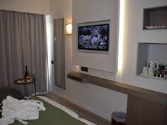 Zimmerbild 13