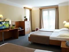 Zimmerbild 6