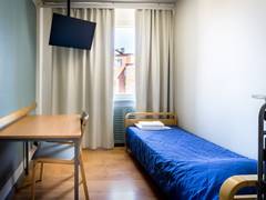 Zimmerbild 7