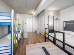 Zimmerbild 8