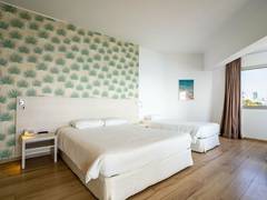 Zimmerbild 6