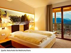 Zimmerbild 0