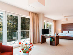 Zimmerbild 9