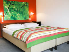 Zimmerbild 9