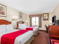 Zimmerbild 13