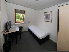 Zimmerbild 8