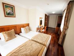Zimmerbild 7