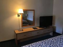 Zimmerbild 1