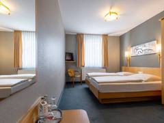Zimmerbild 21
