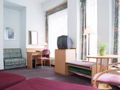 Zimmerbild 47