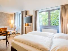 Zimmerbild 8