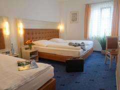 Zimmerbild 16