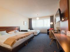 Zimmerbild 4