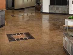Zimmerbild 8