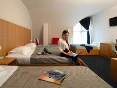 Zimmerbild 8