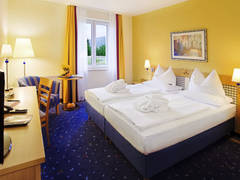 Zimmerbild 8