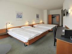 Zimmerbild 10