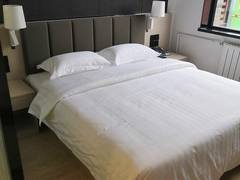 Zimmerbild 11